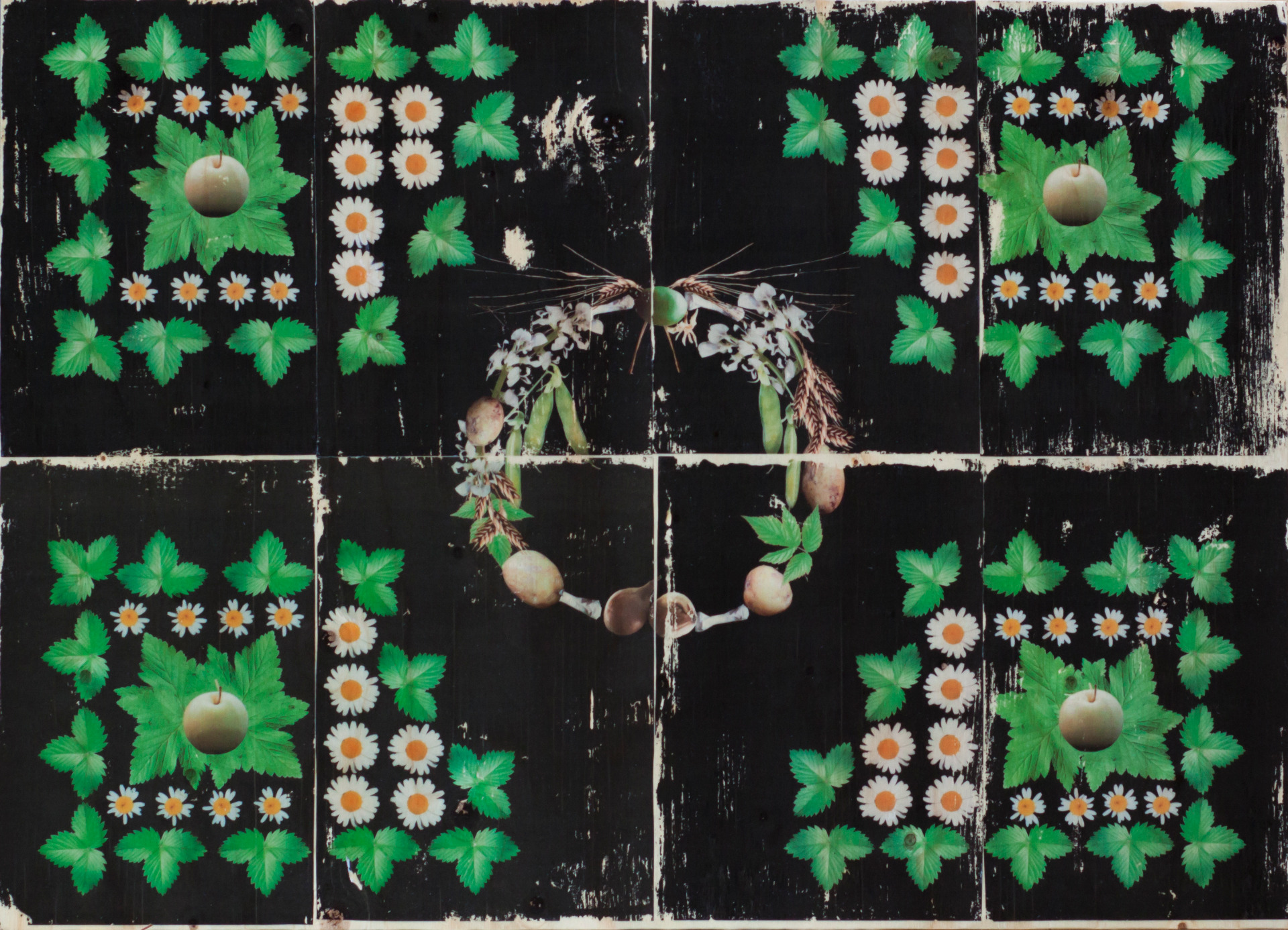 Auran keittiöpuutarha / 2025 / kuvansiirto vanerille / 48cm x 67cm 